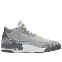 Nike Air Jordan 3 SP Cool Grey